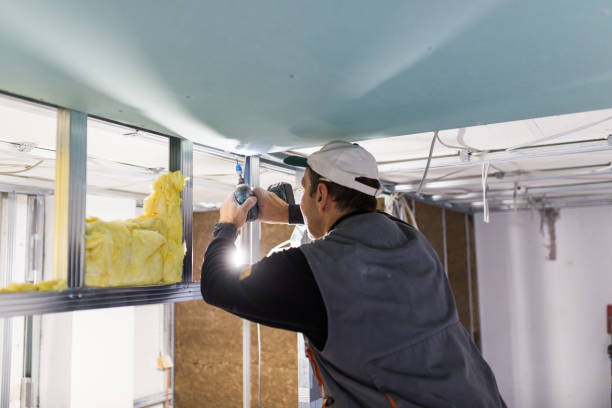 Best DIY Insulation Kits and Guidance in Goodman, MS
