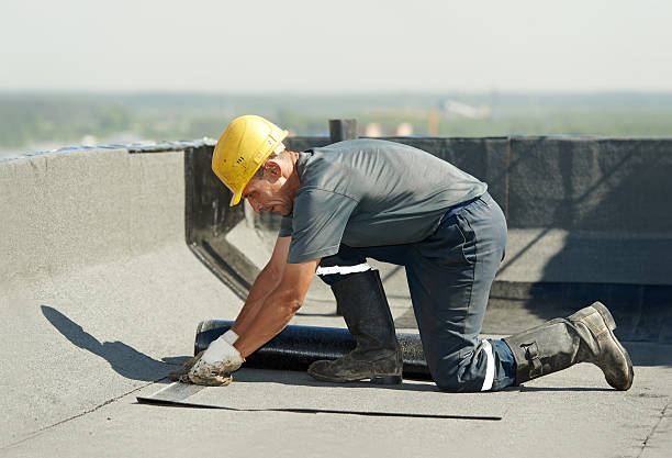 Best Residential Insulation in Goodman, MS