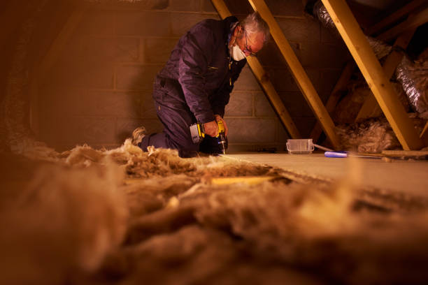 Best Geographic-Specific Insulation Services in Goodman, MS